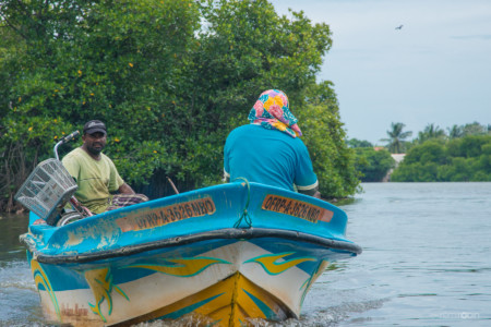 bateau taxi sur la mangrove de Colombo