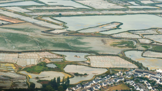 Batz marais salants